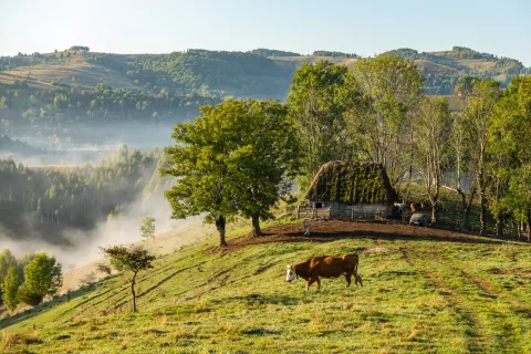 Descoperă România autentică: Turismul rural ca o poartă spre tradiții neexplorate