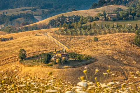Evadare Toscana
